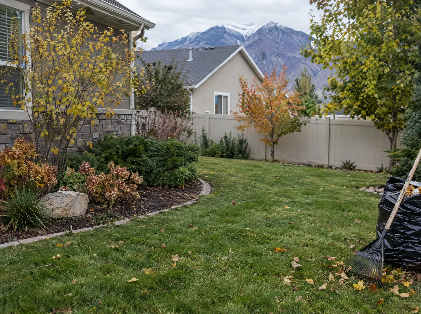 Autumn garden beds beside a lawn, with a yellow-leaved tree, a rake and a collection bag ready for the clear-up.